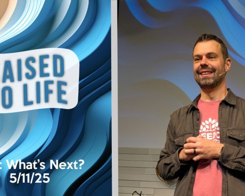 Raised To Life pt 3: What’s Next
