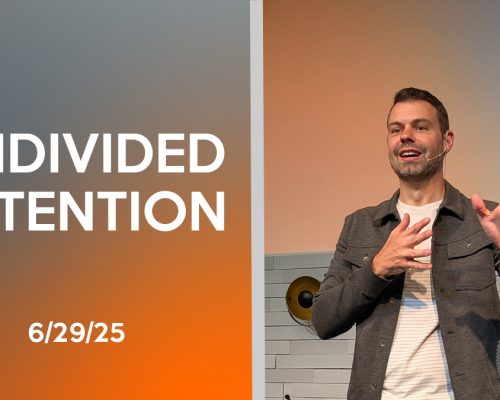 Undivided Attention